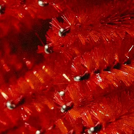 Eyelash Extension Volume Fills